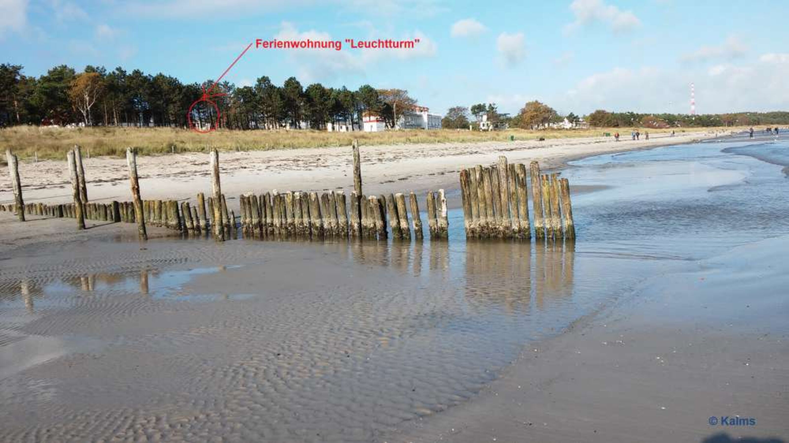 Strand vor der FeWo 