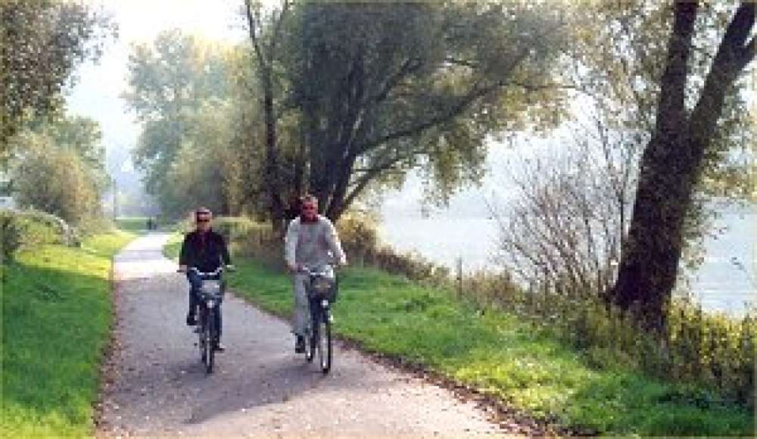 Rad - und Wanderwege direkt an der Mosel