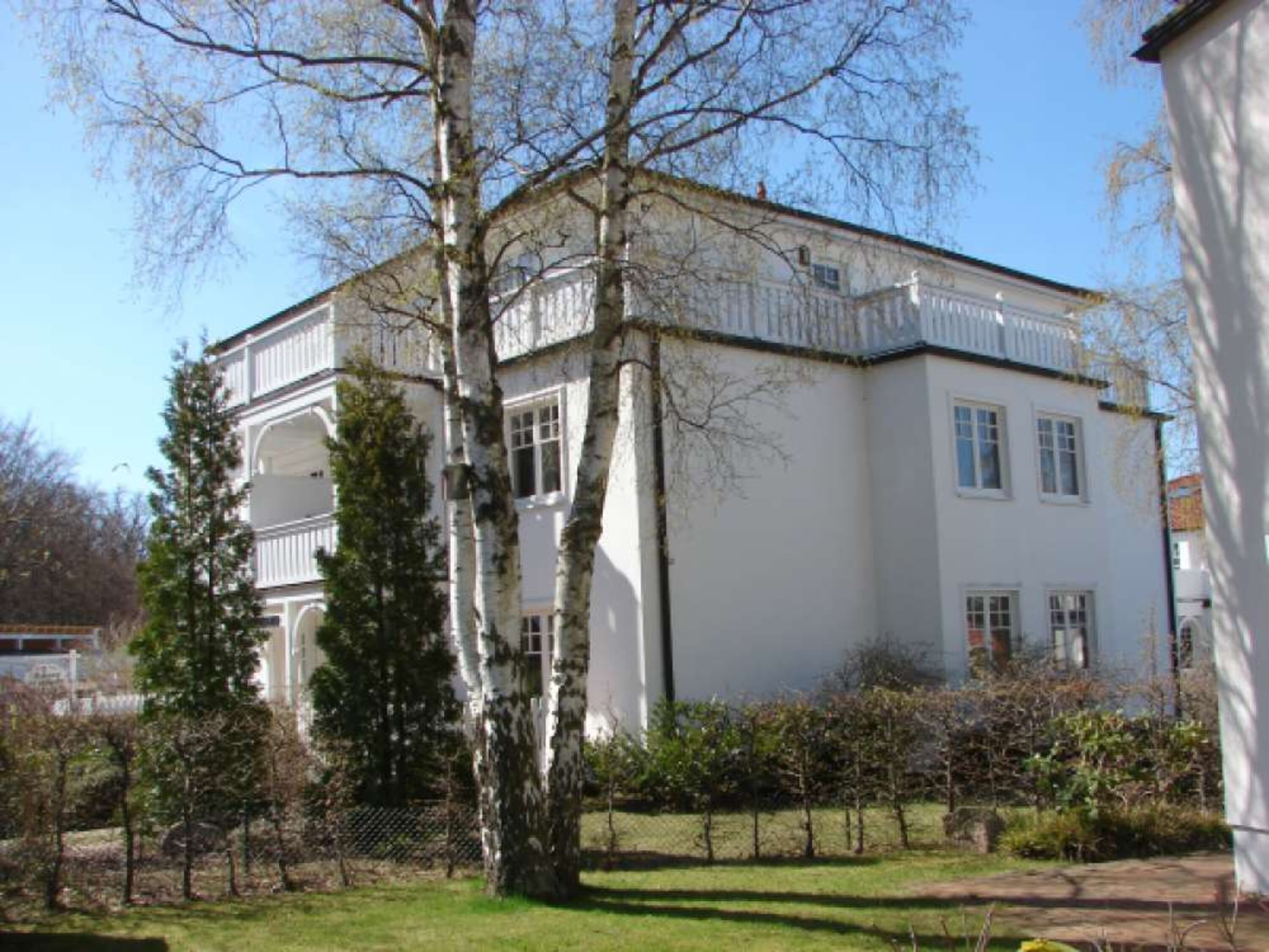 Der Wald am Haus im Frühling