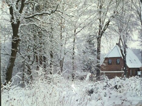 Im Winter
