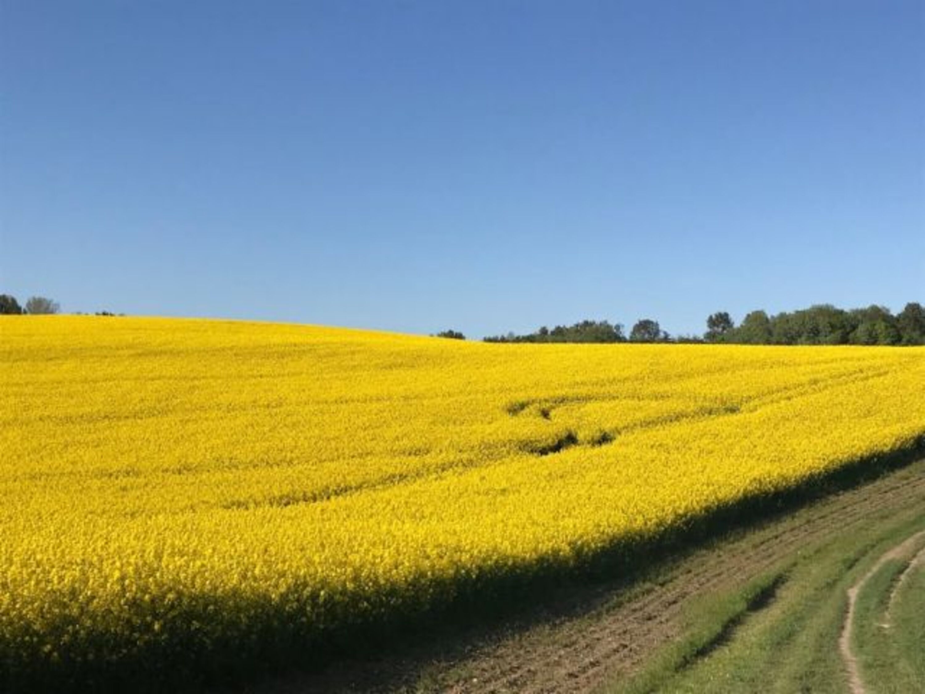 Bild 16