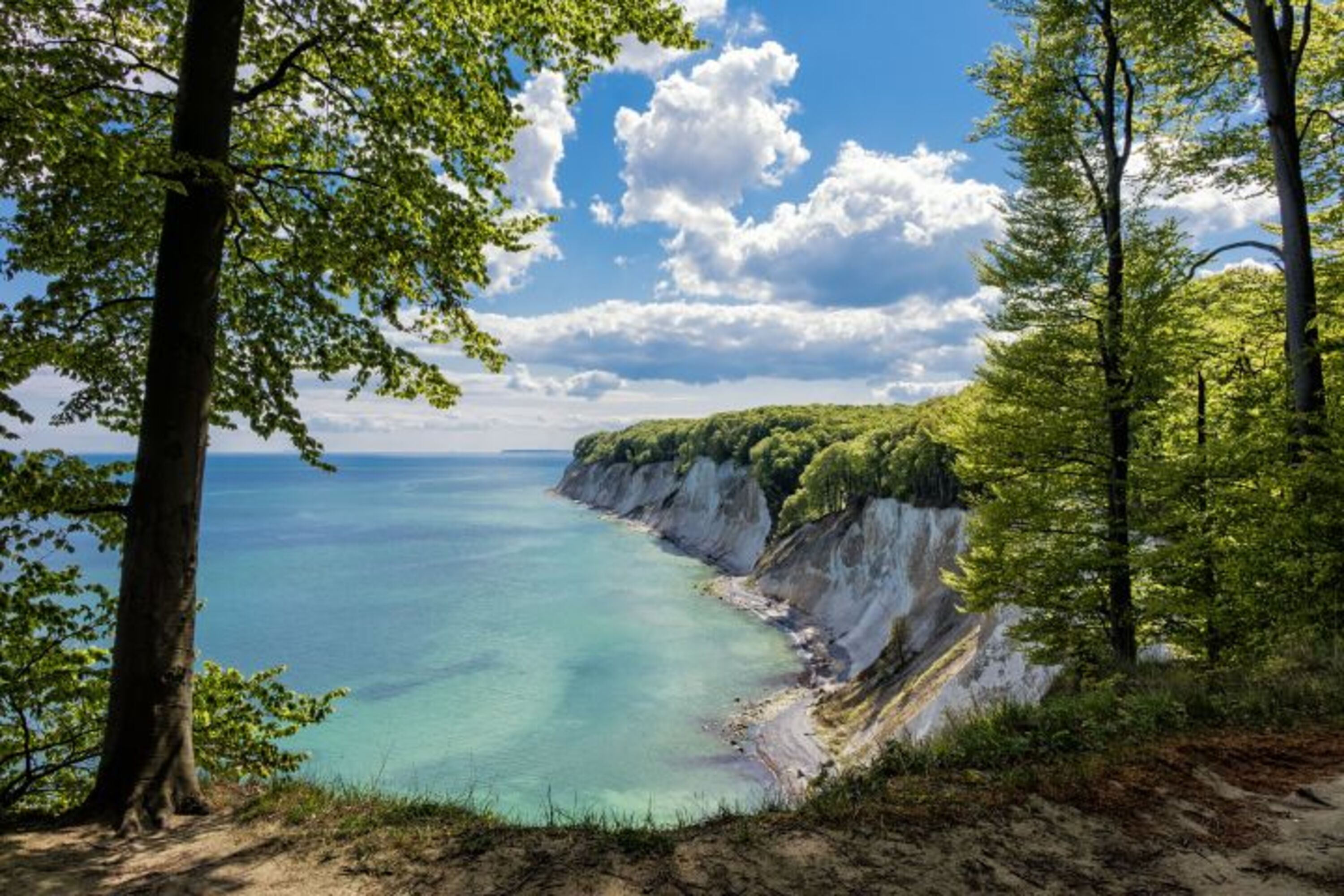 Bild 19