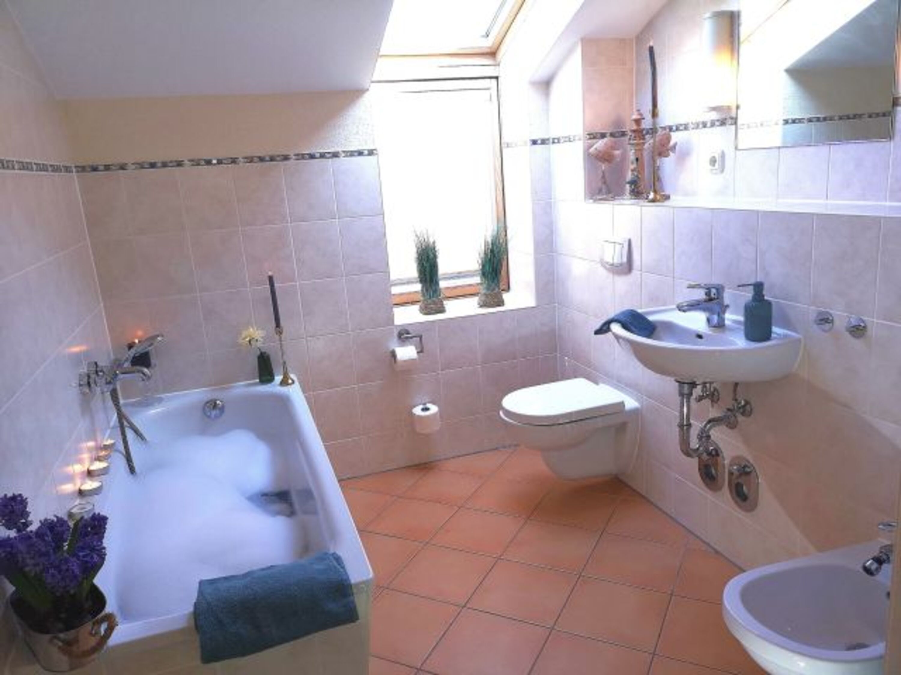 Bild 15