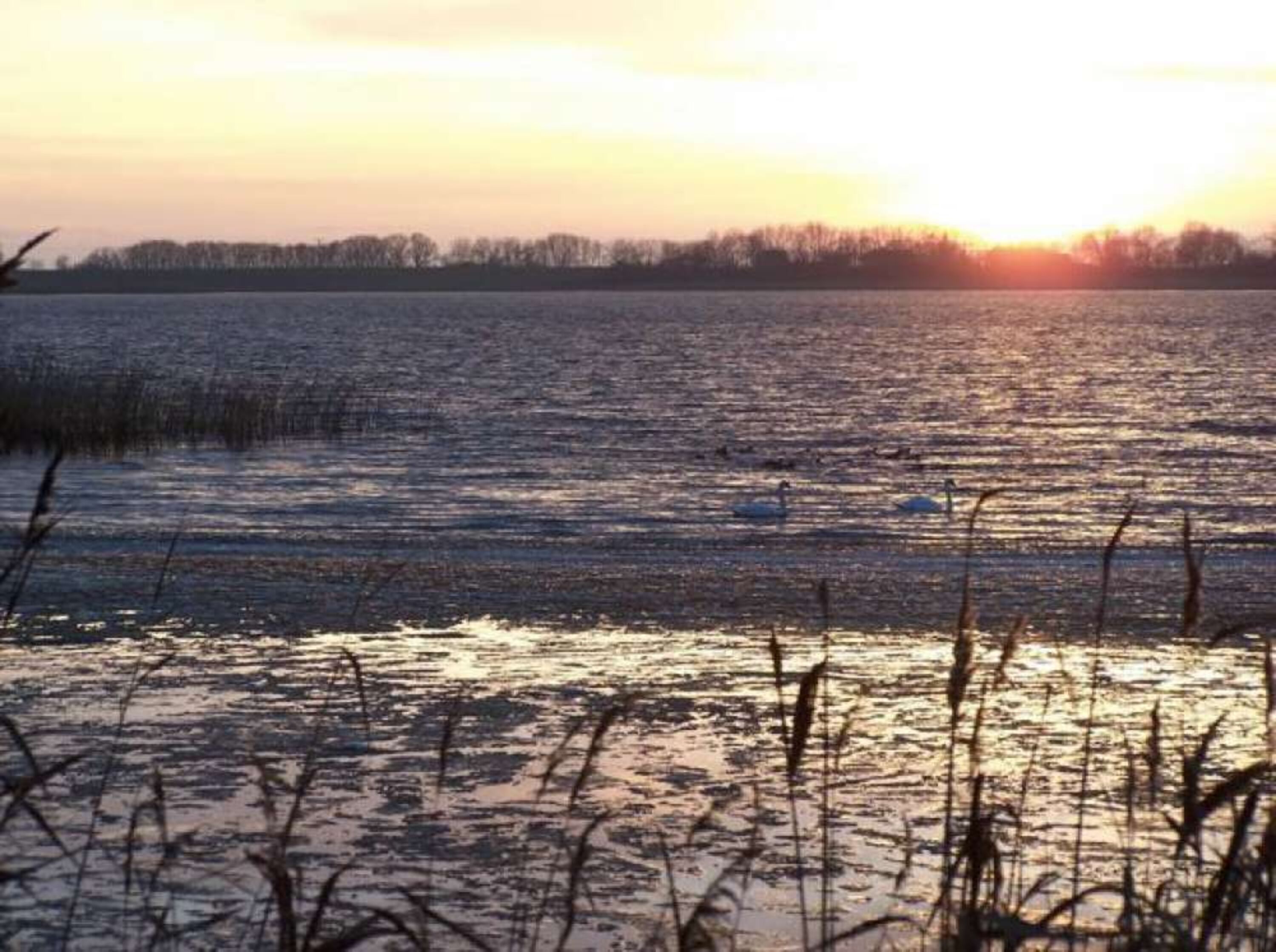 Sonnenuntergang an der Peene