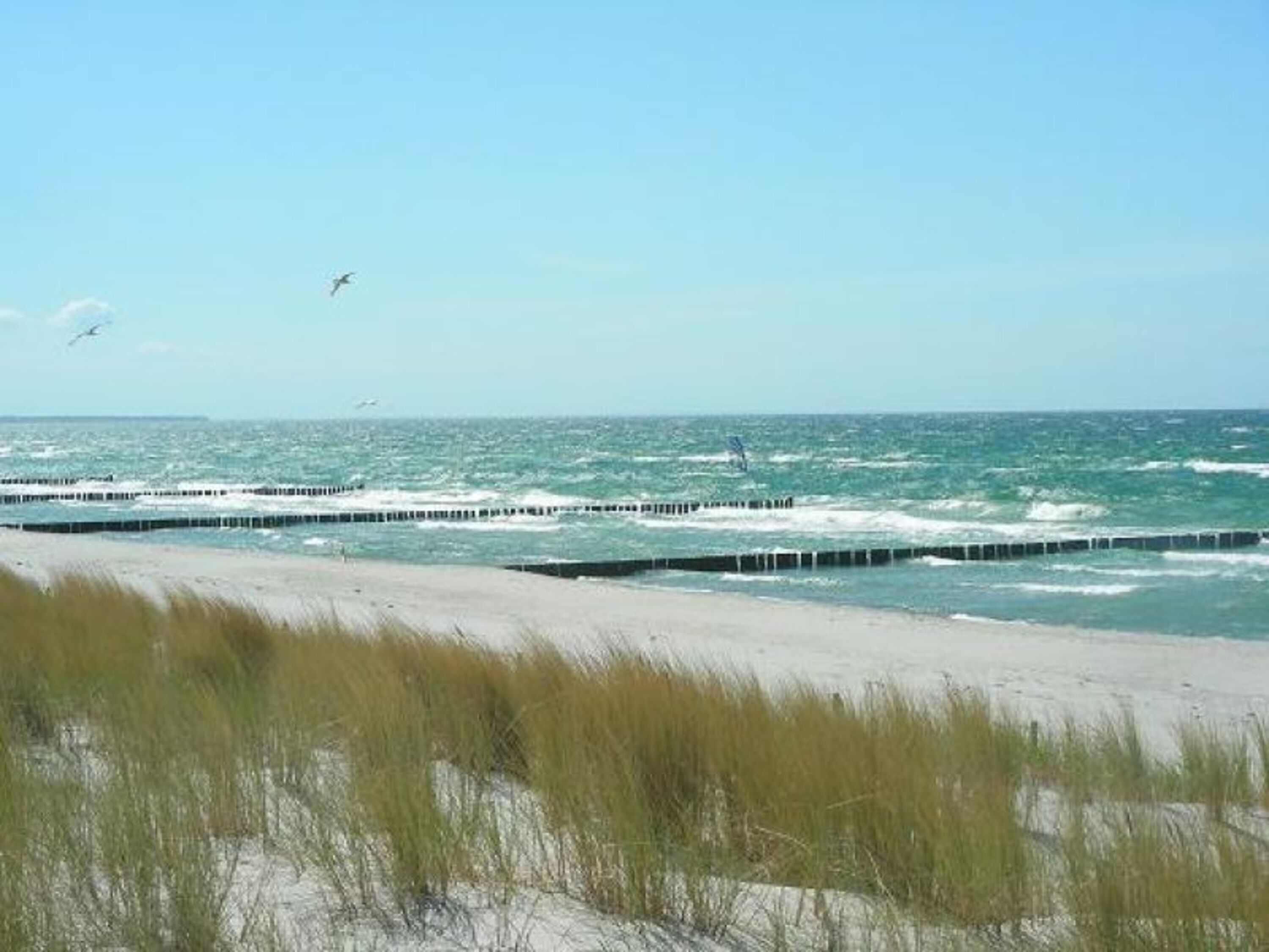 Ostseestrand