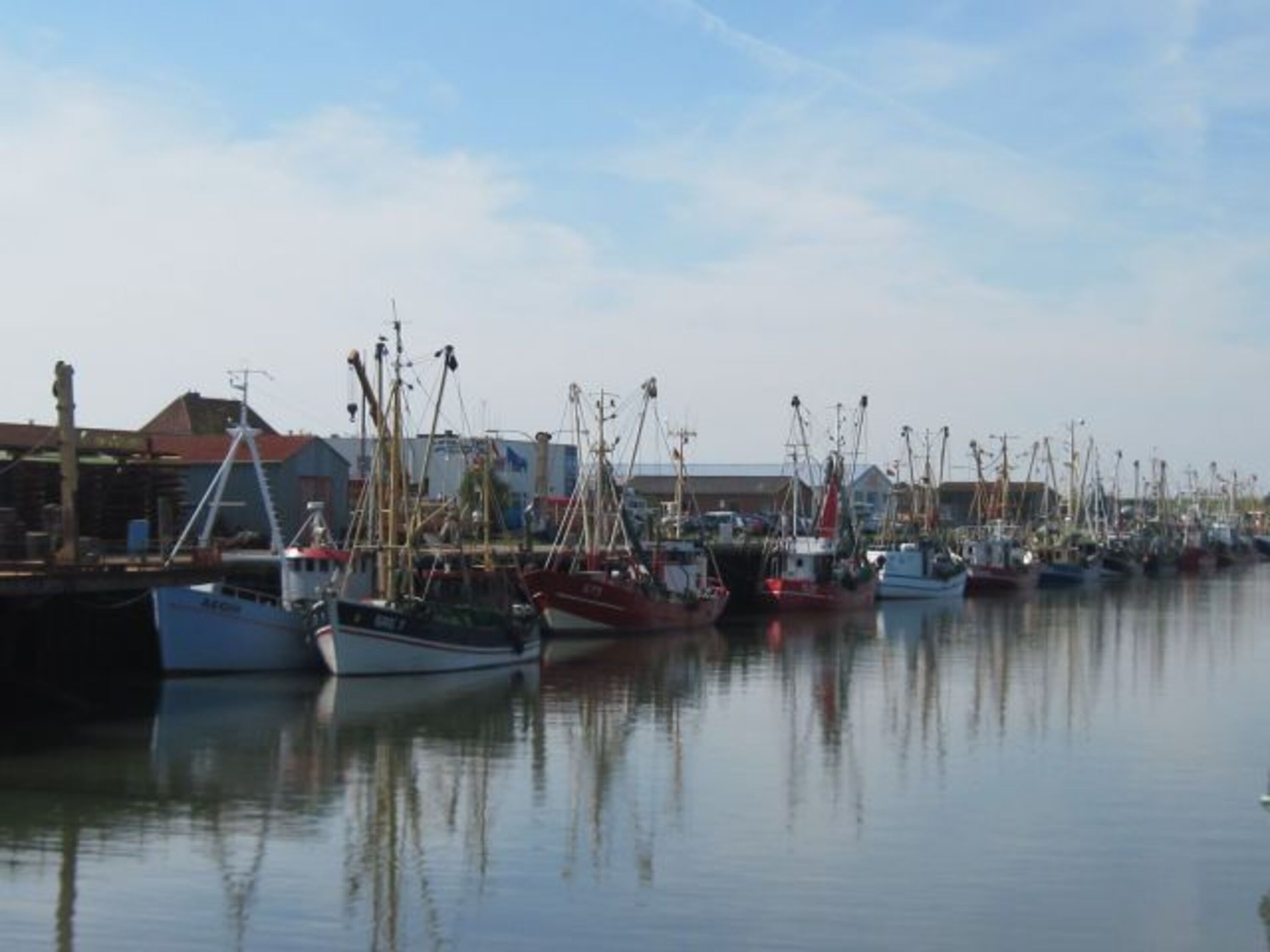 Hafen Büsum