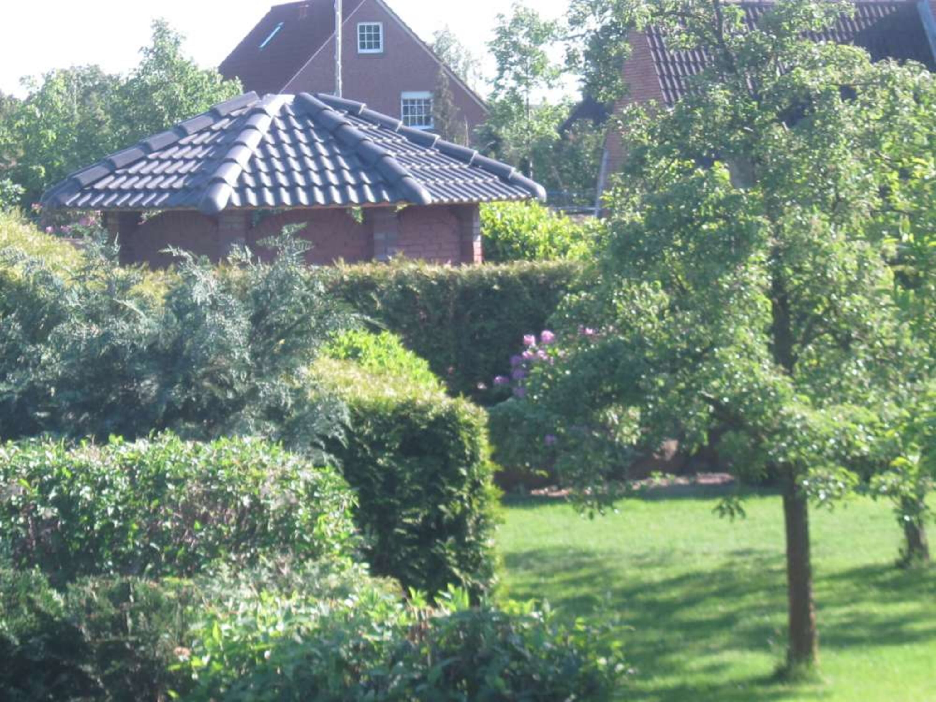 Blick aus dem Fenster der Ferienwhg.