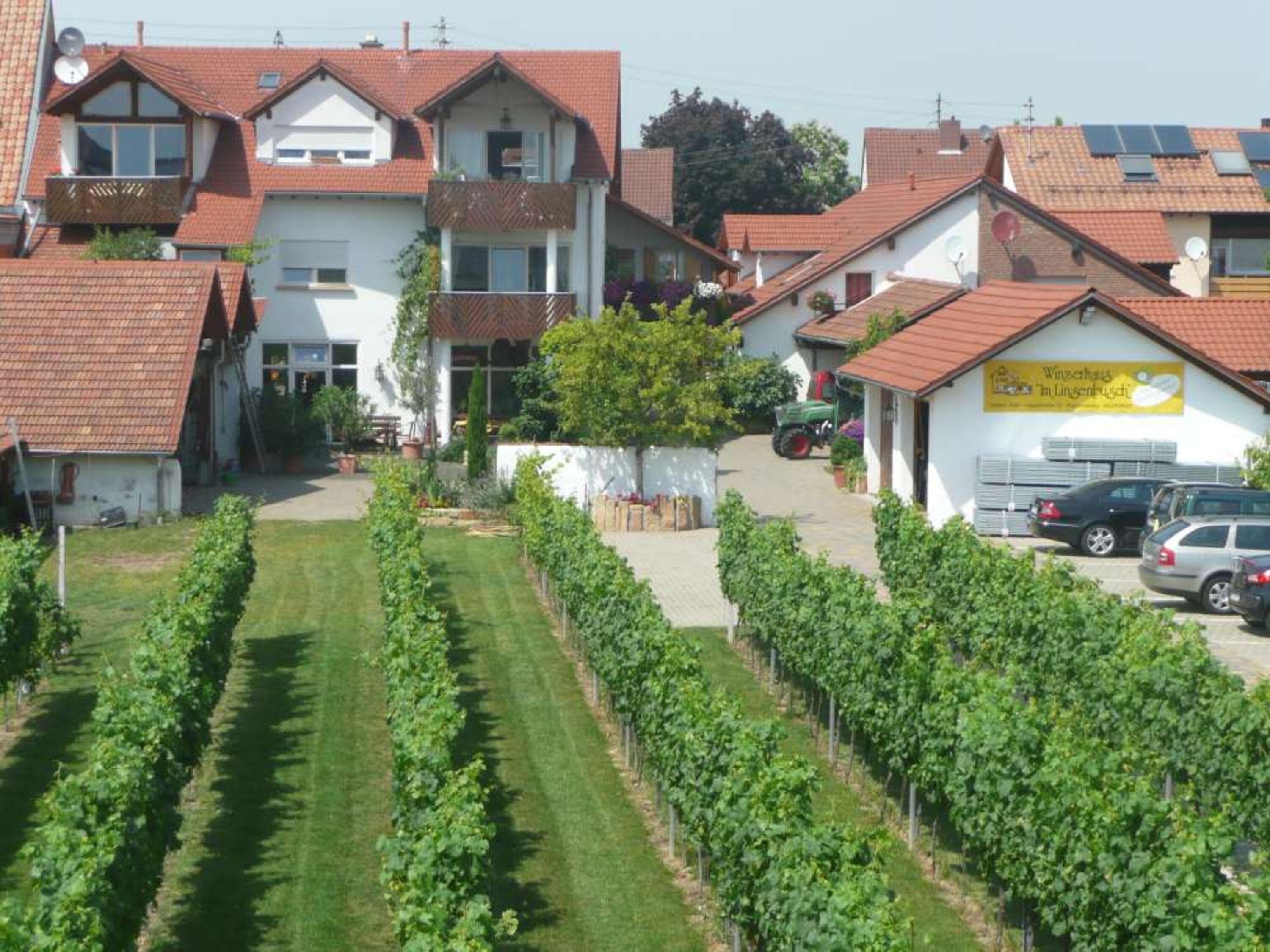 Unser Winzerhof von der Südseite