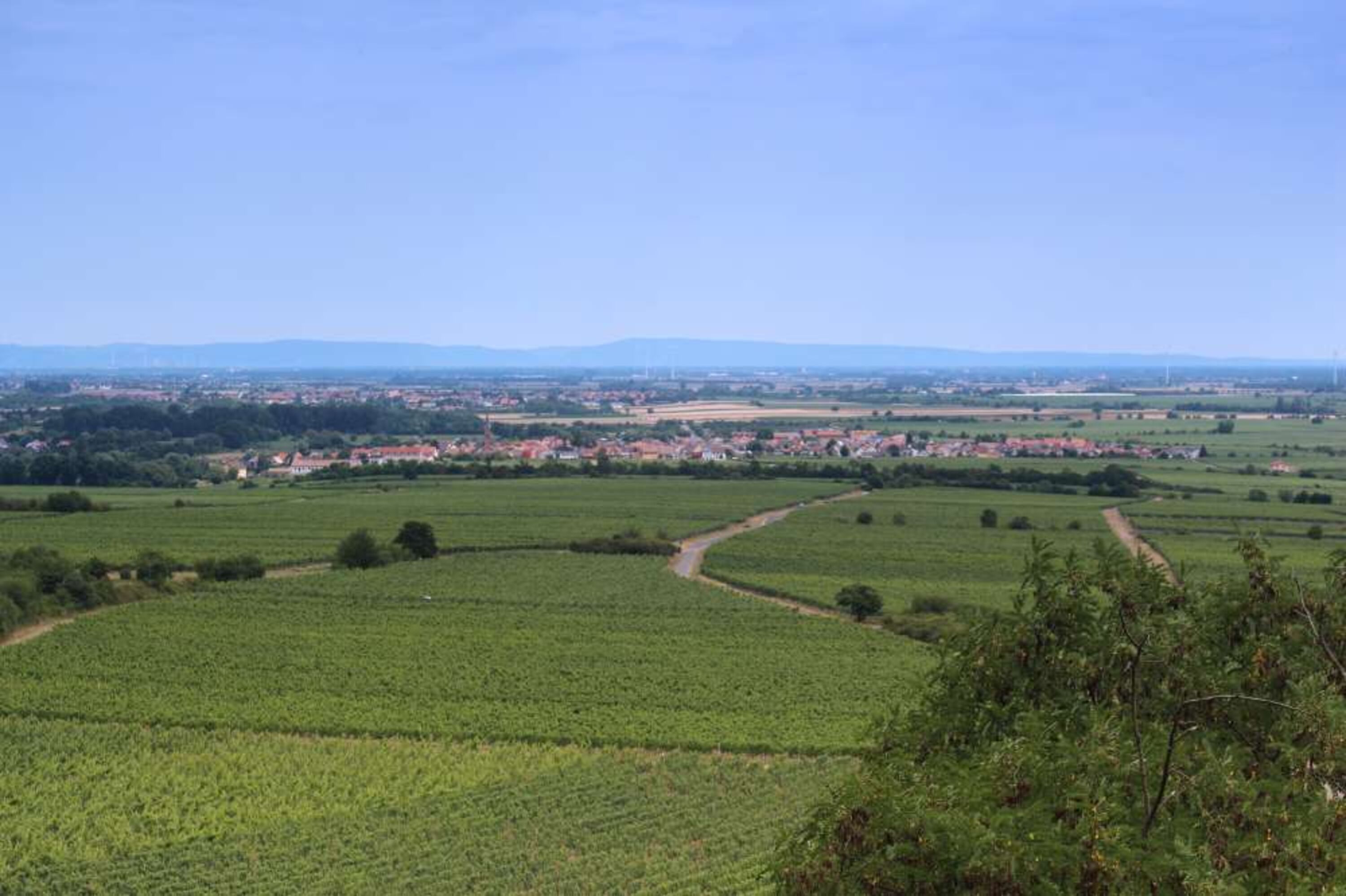 Ruppertsberg aus der Vogelperspektive