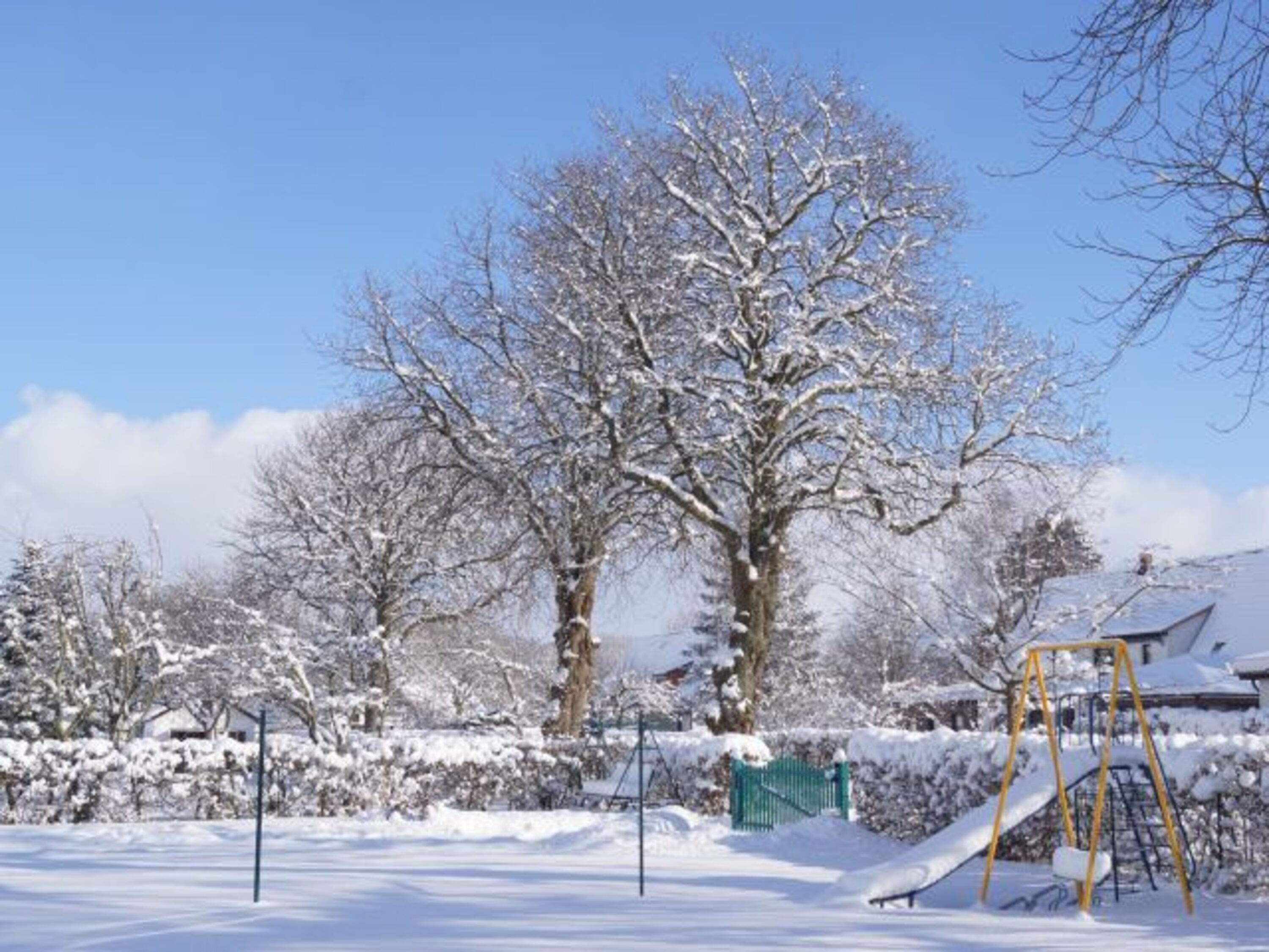 Tobewiese im Winter