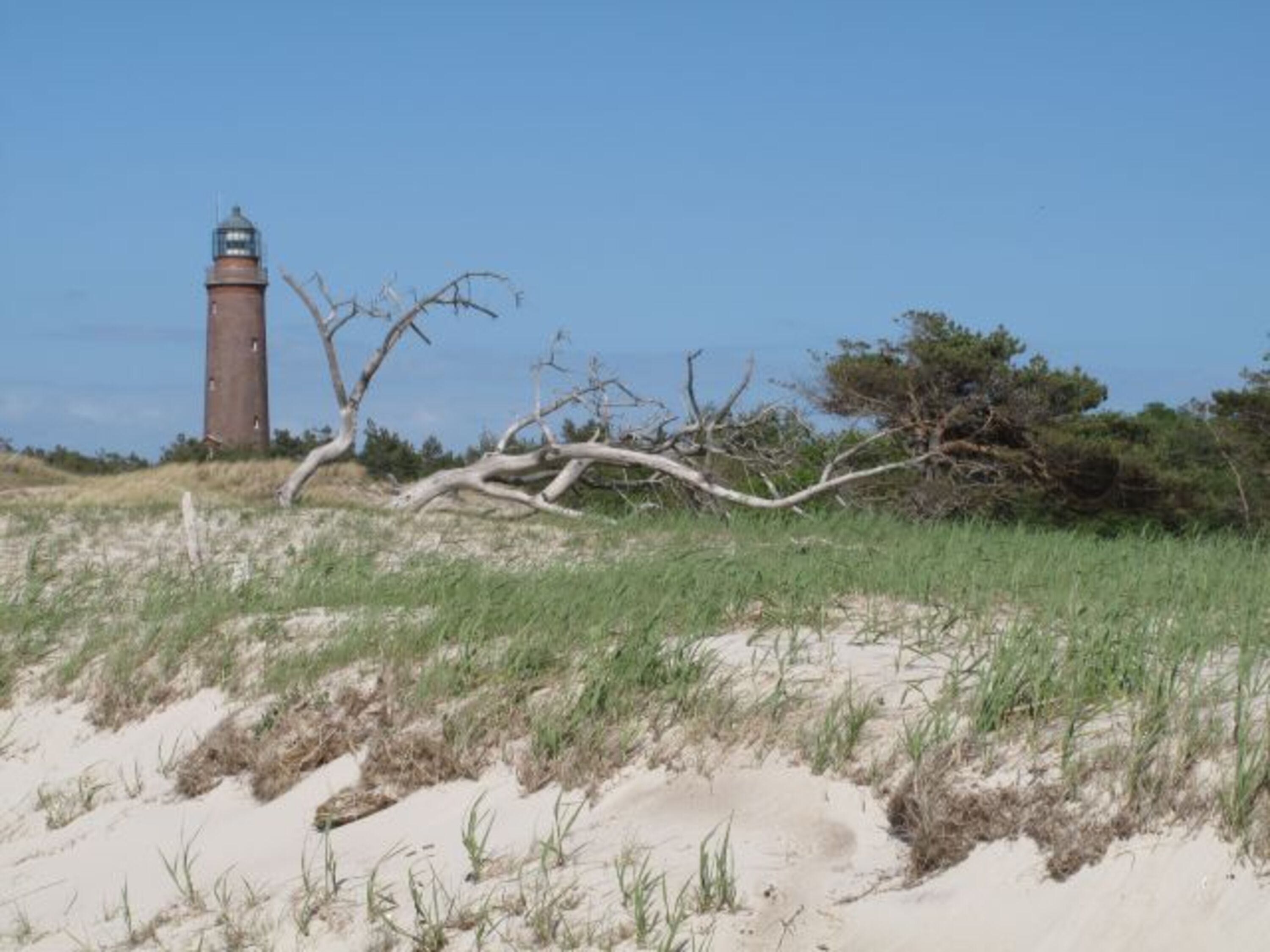 Leuchtturm Darsser Ort