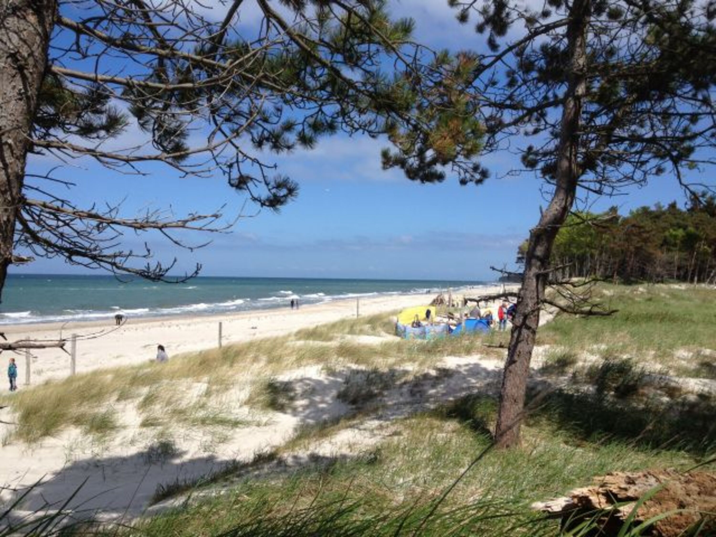 Naturstrand pur