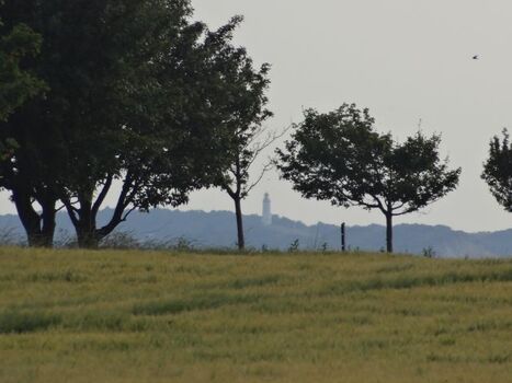 die Nachbarinsel Hiddensee