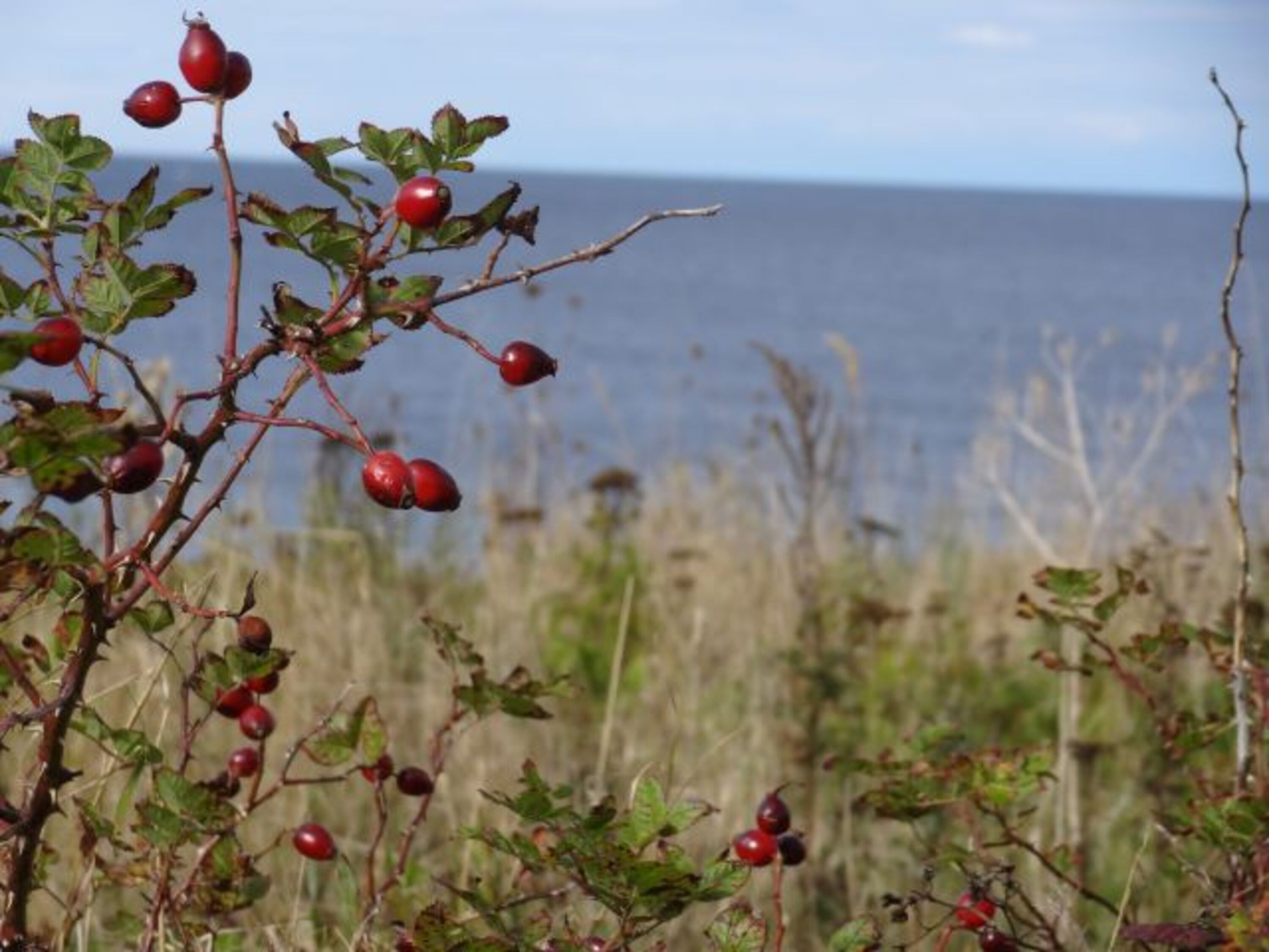 Bild 15