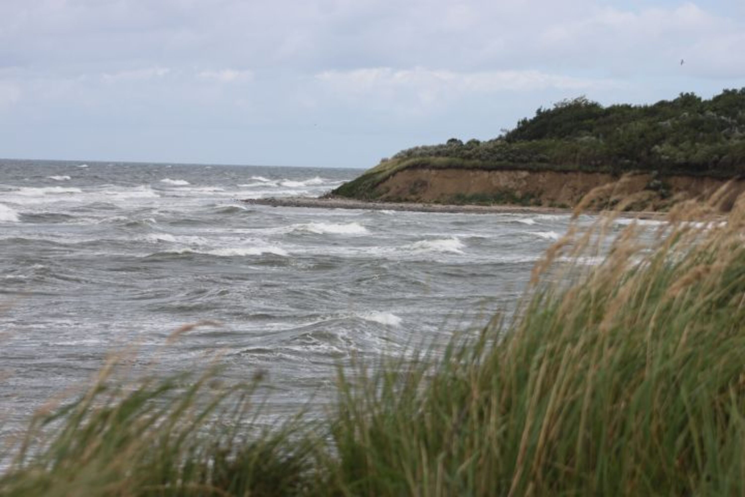 Bild 14