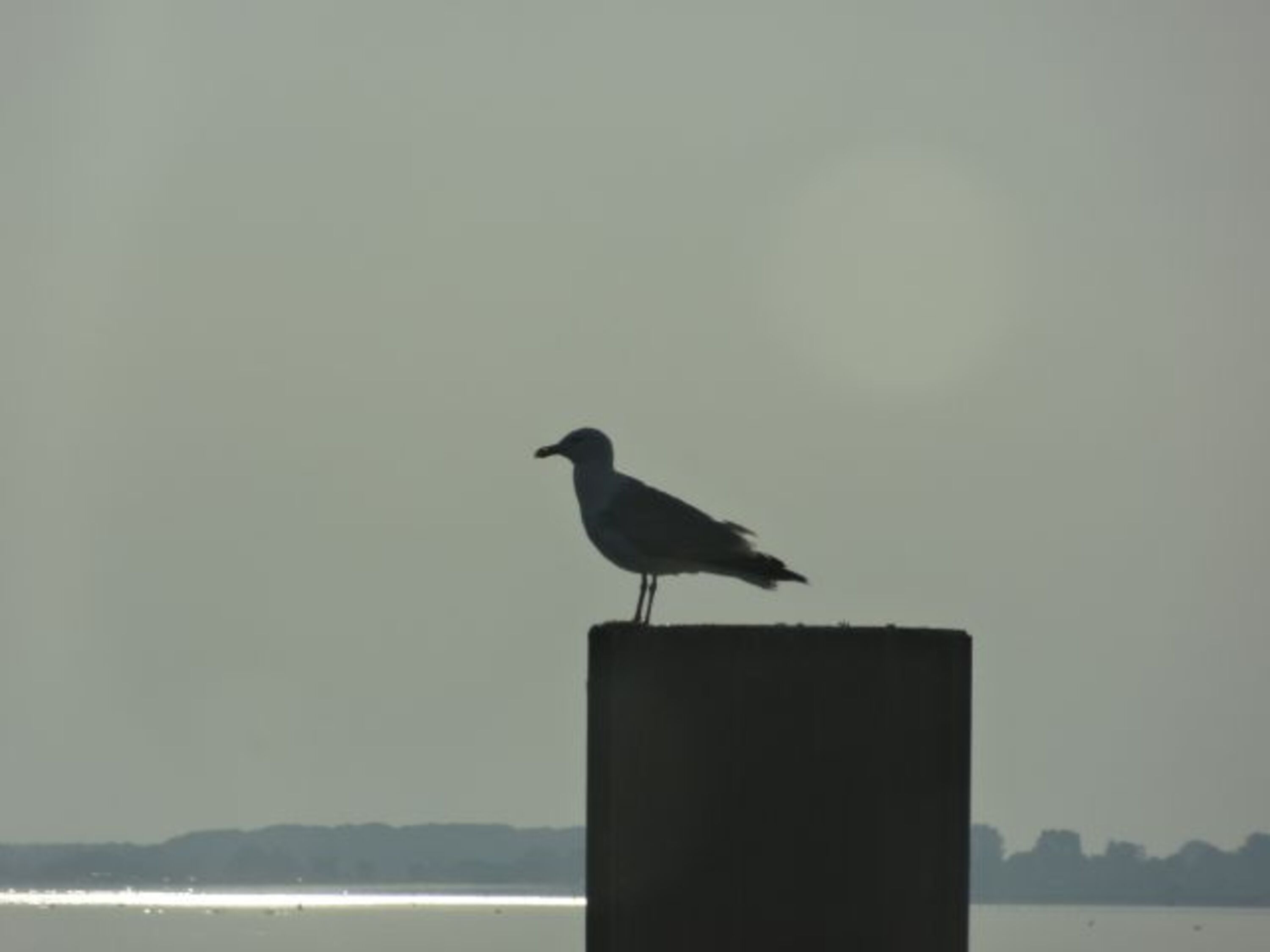Bild 16