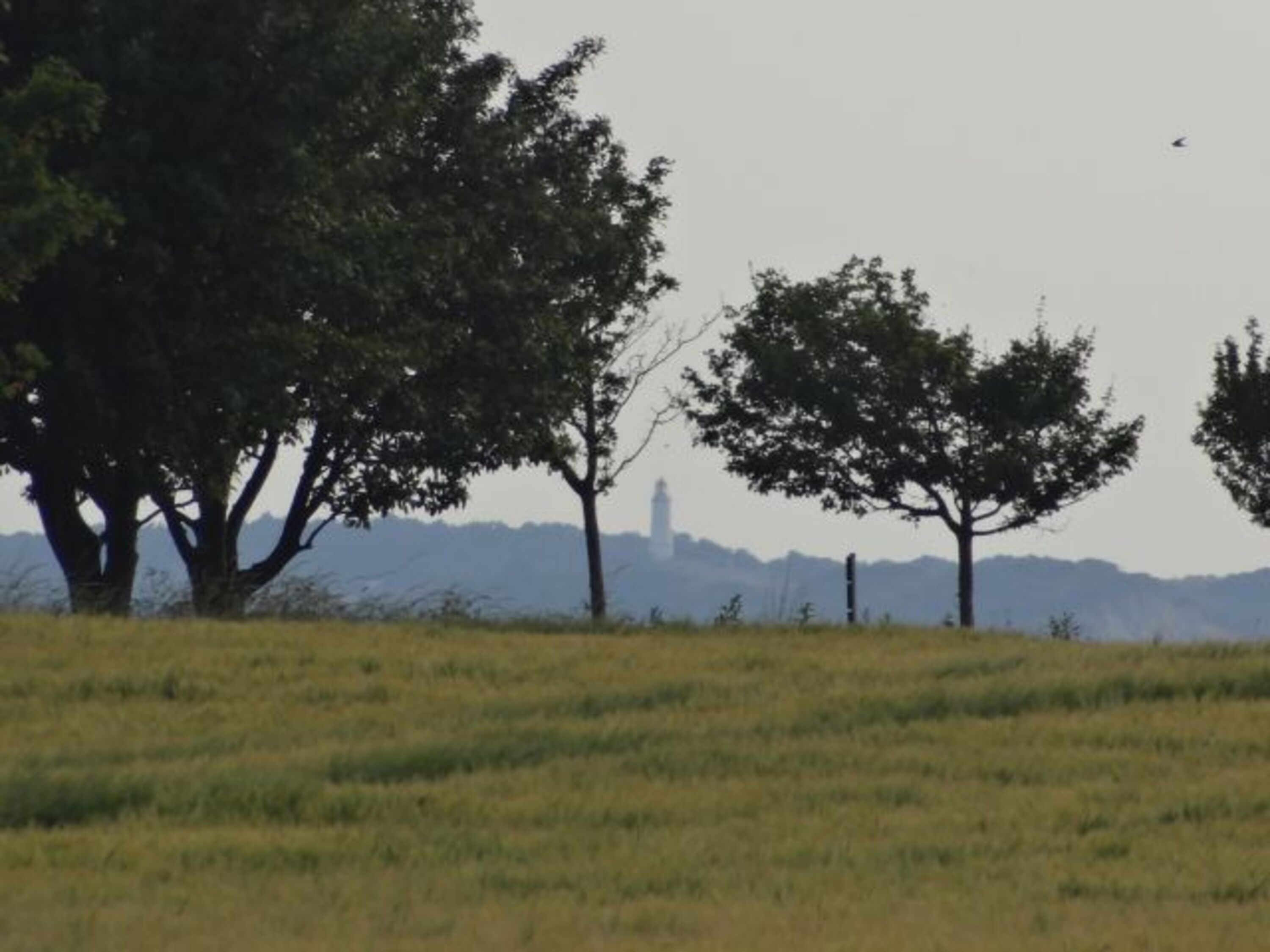 die Nachbarinsel Hiddensee