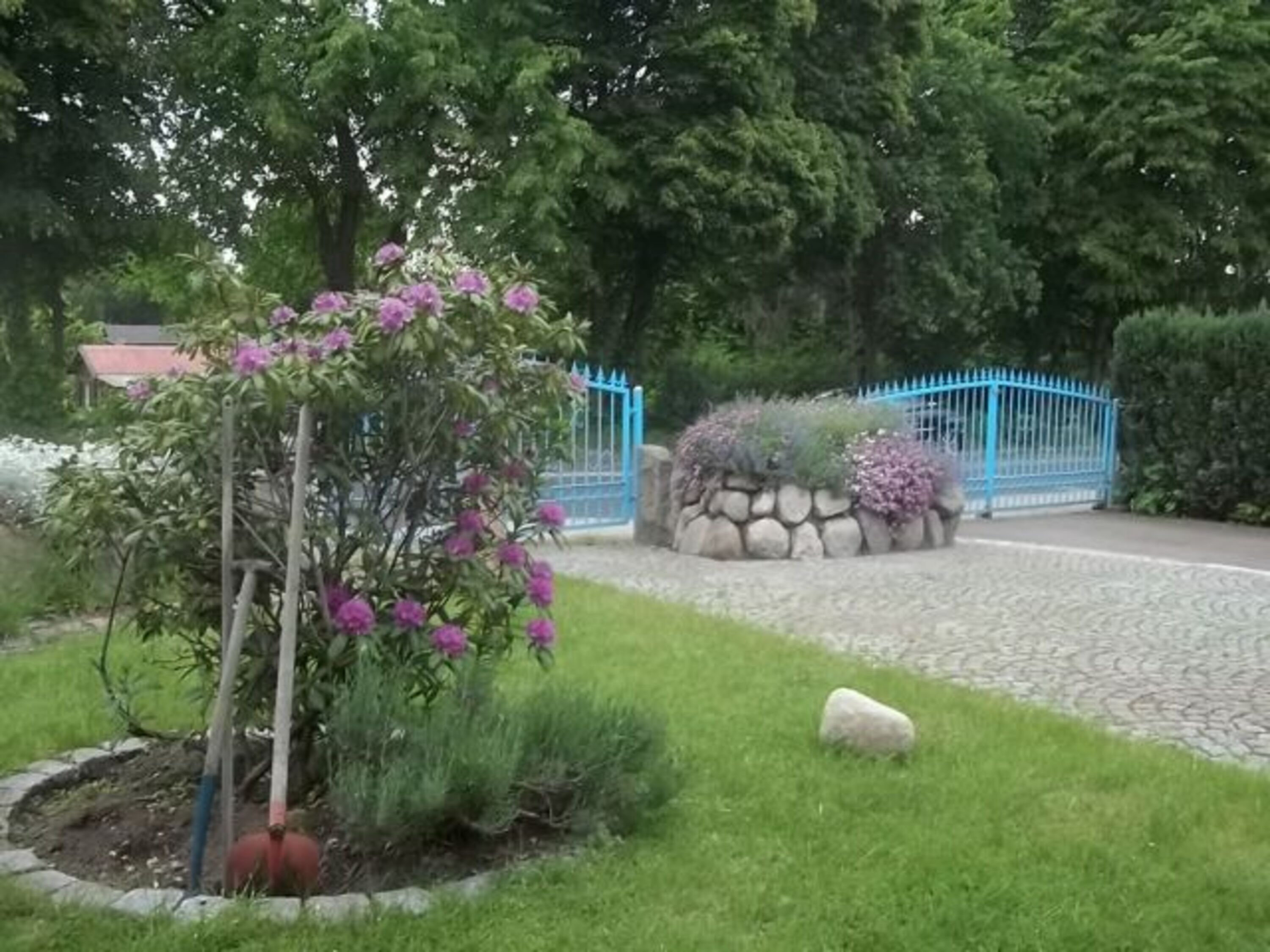 Garten 3