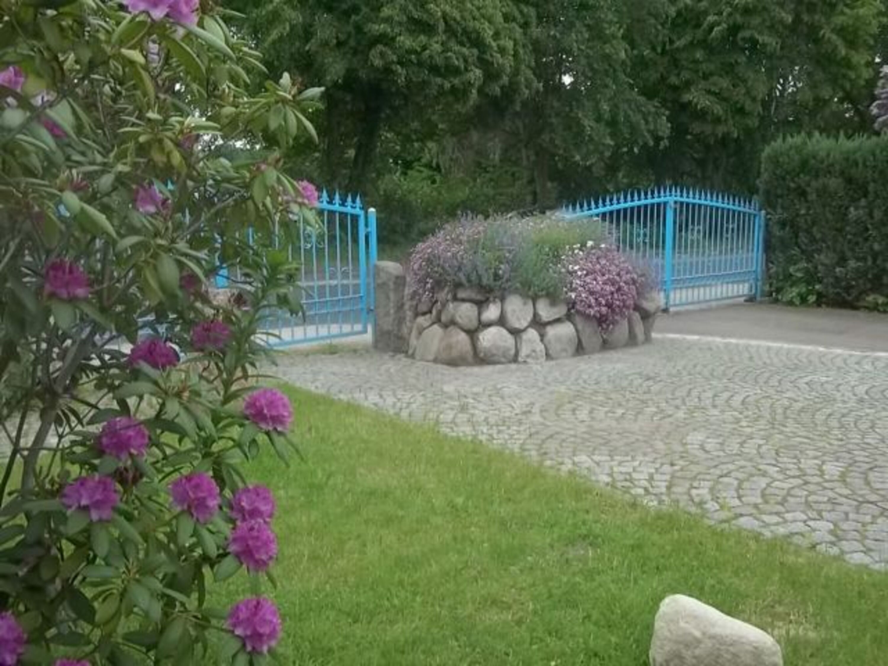 Garten 2