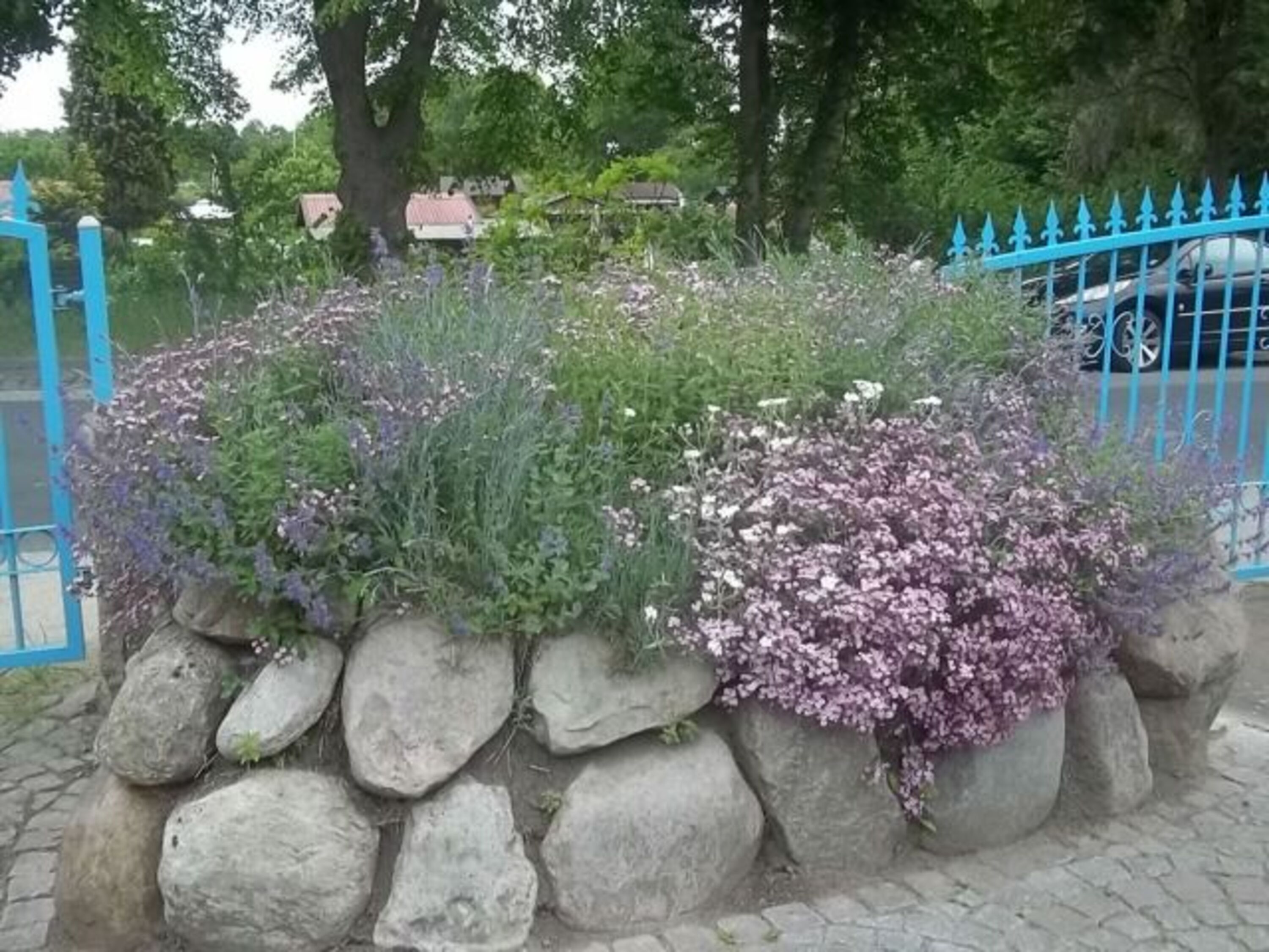 Garten 1