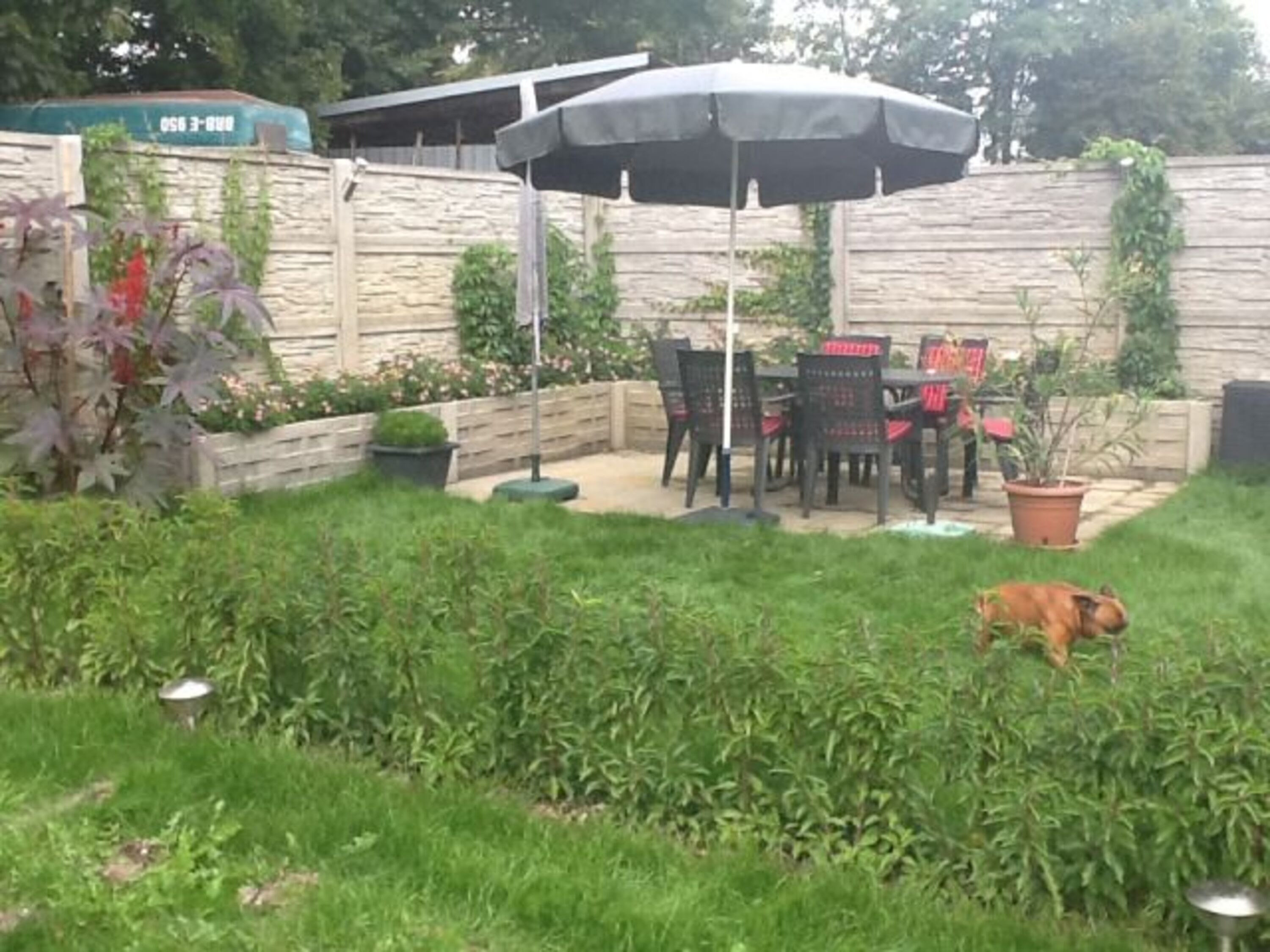 Terrasse