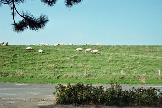 Blick aus dem Schlafzimmerfenster