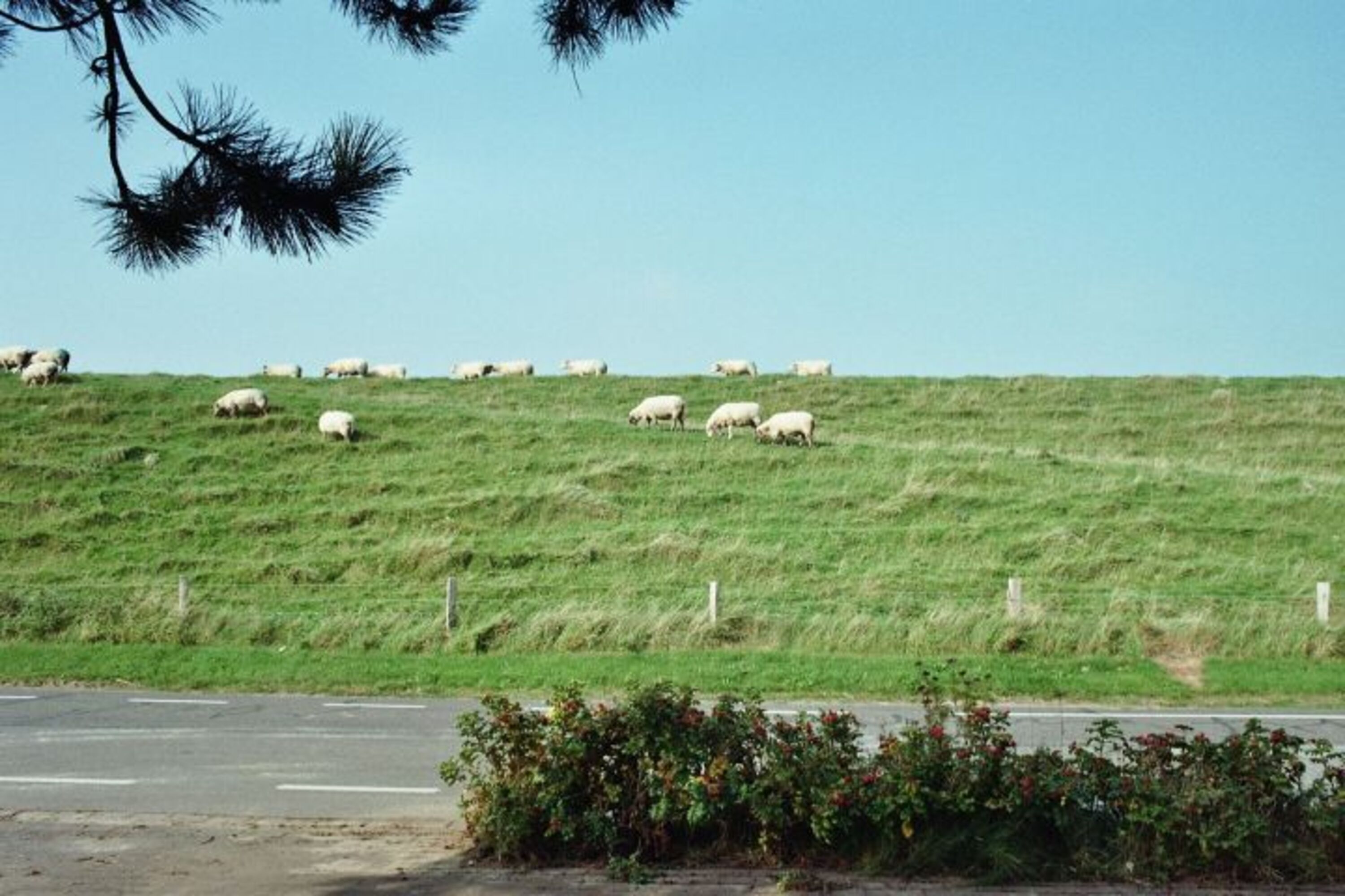 Blick aus dem Schlafzimmerfenster