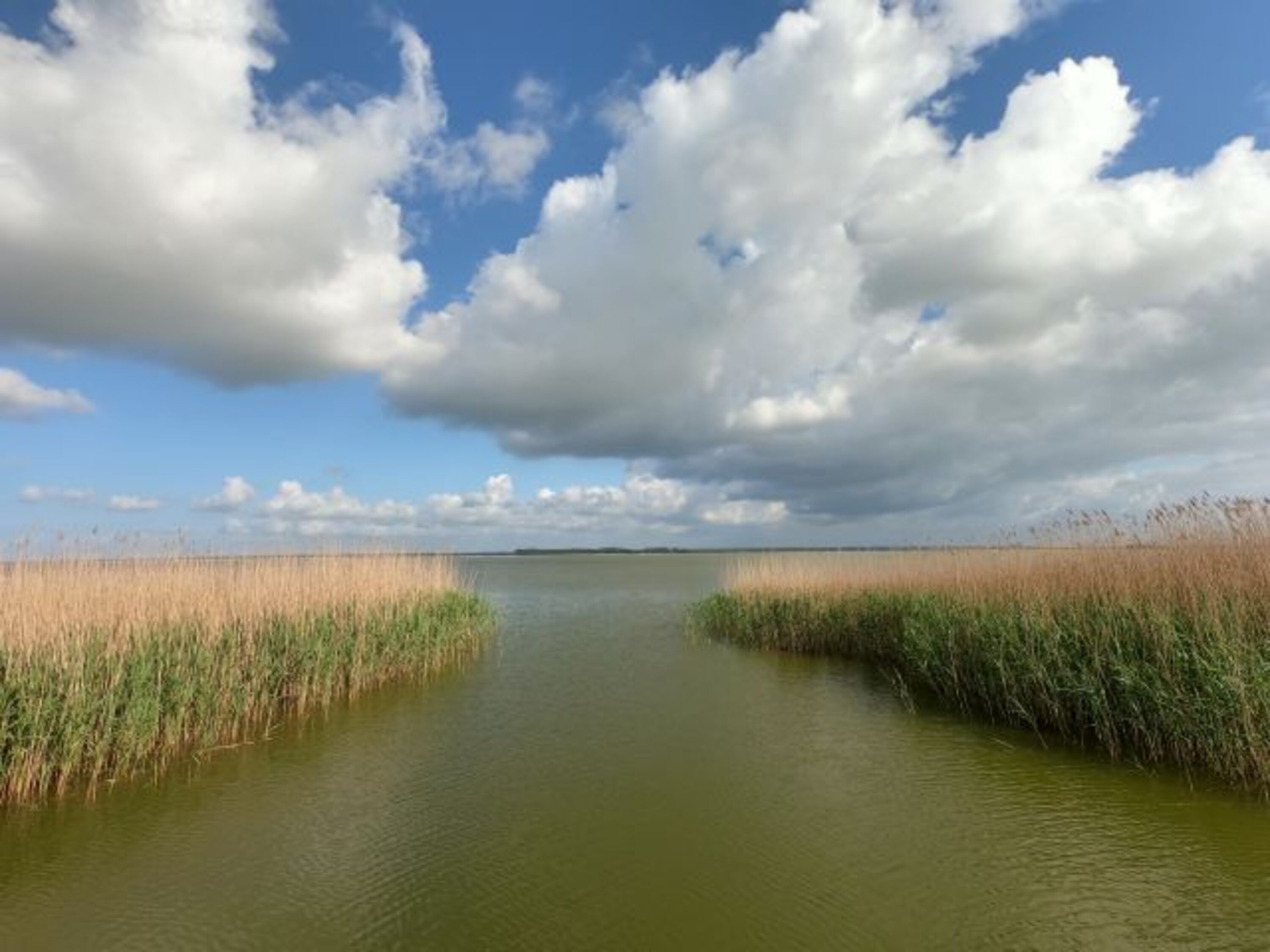 Boddenlandschaft in Born