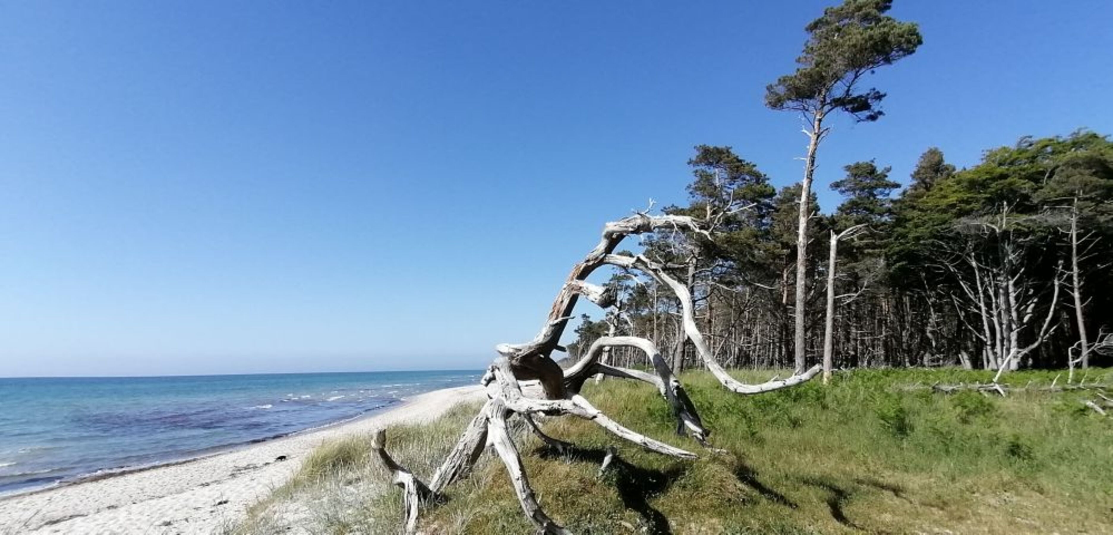 Weststrandidylle