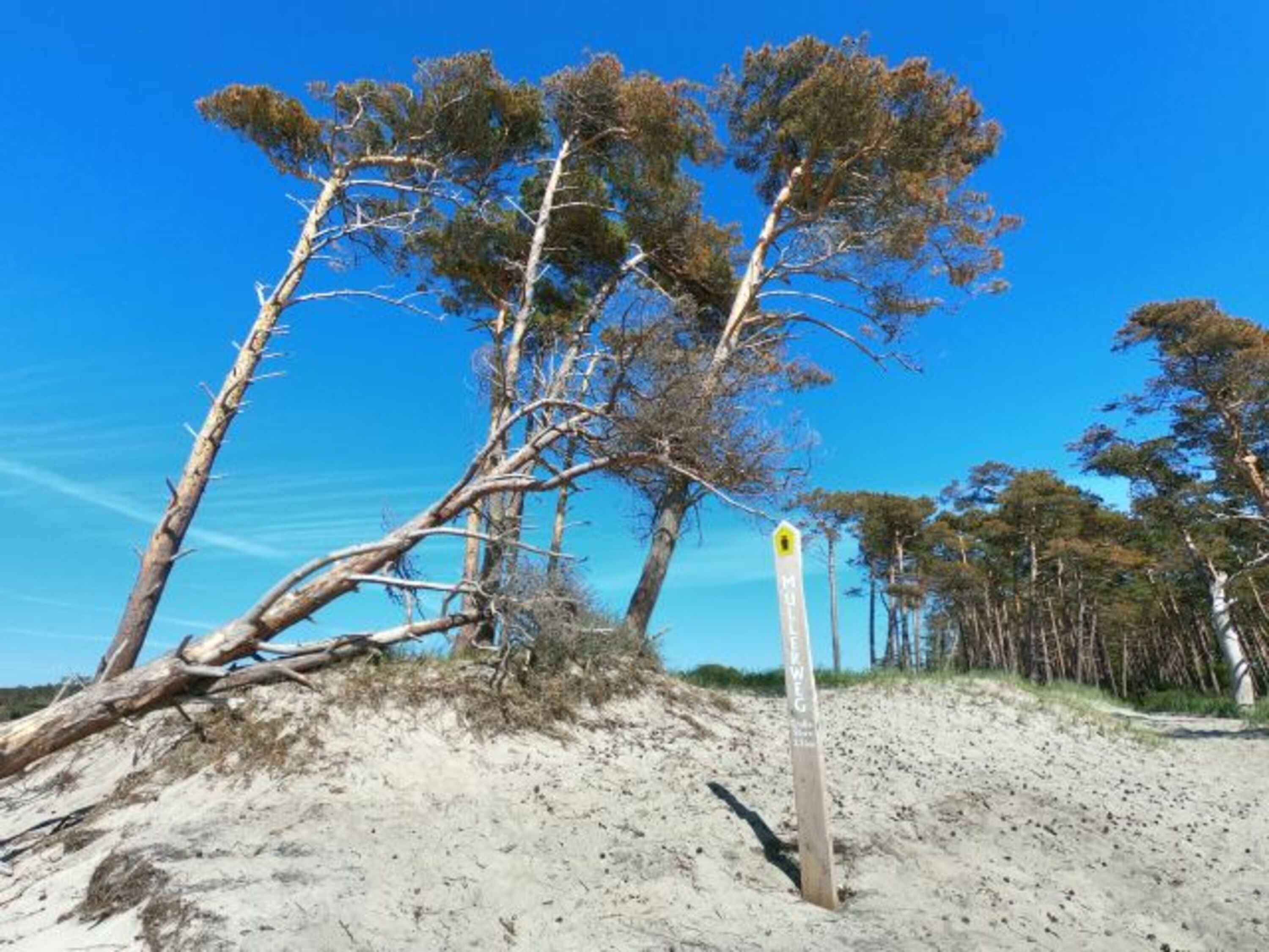Wilder Weststrand