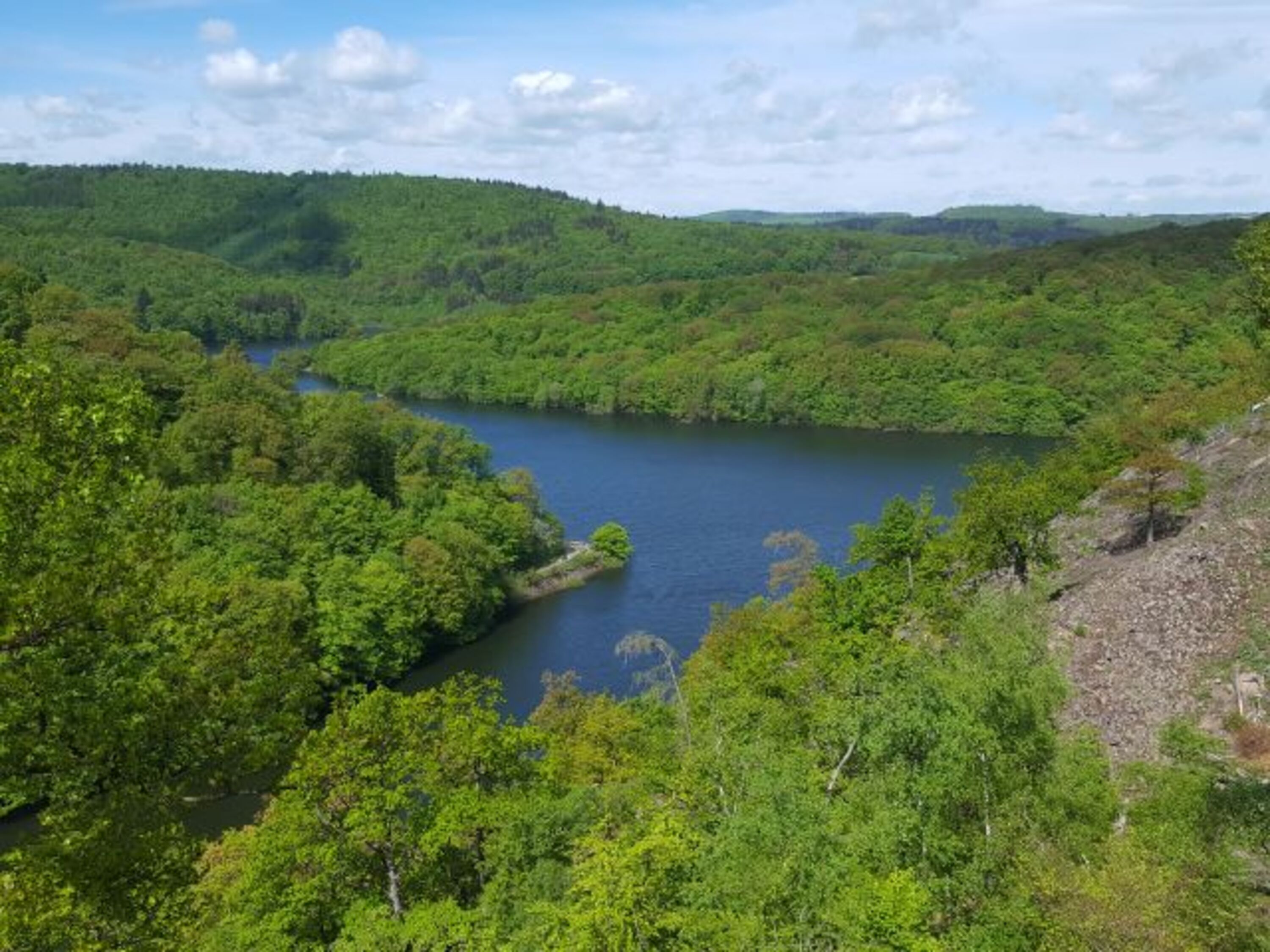 Der Edersee im Nationalpark 
