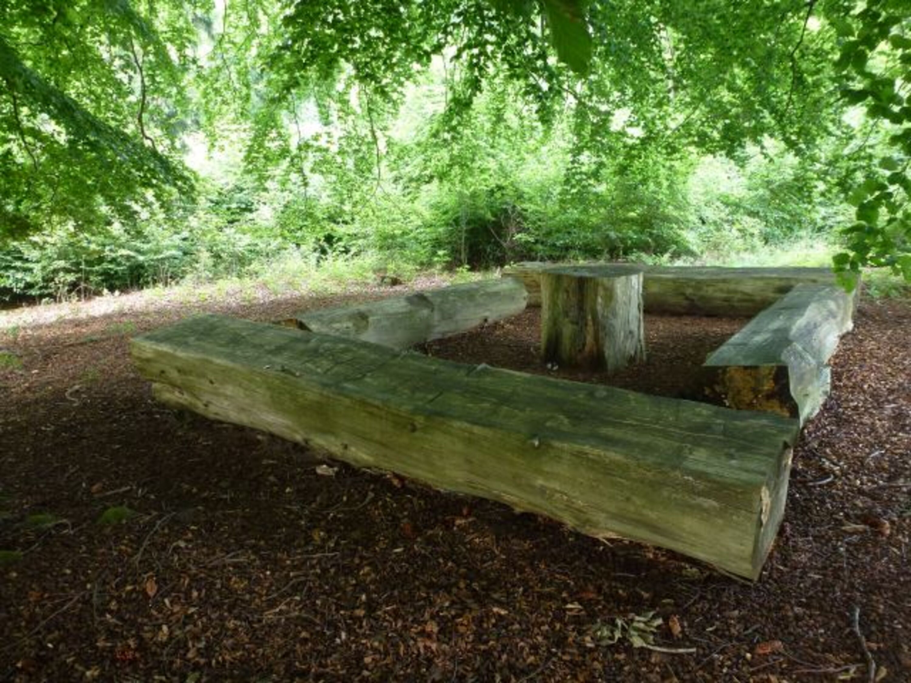 Der Nationalpark Kellerwald-Edersee