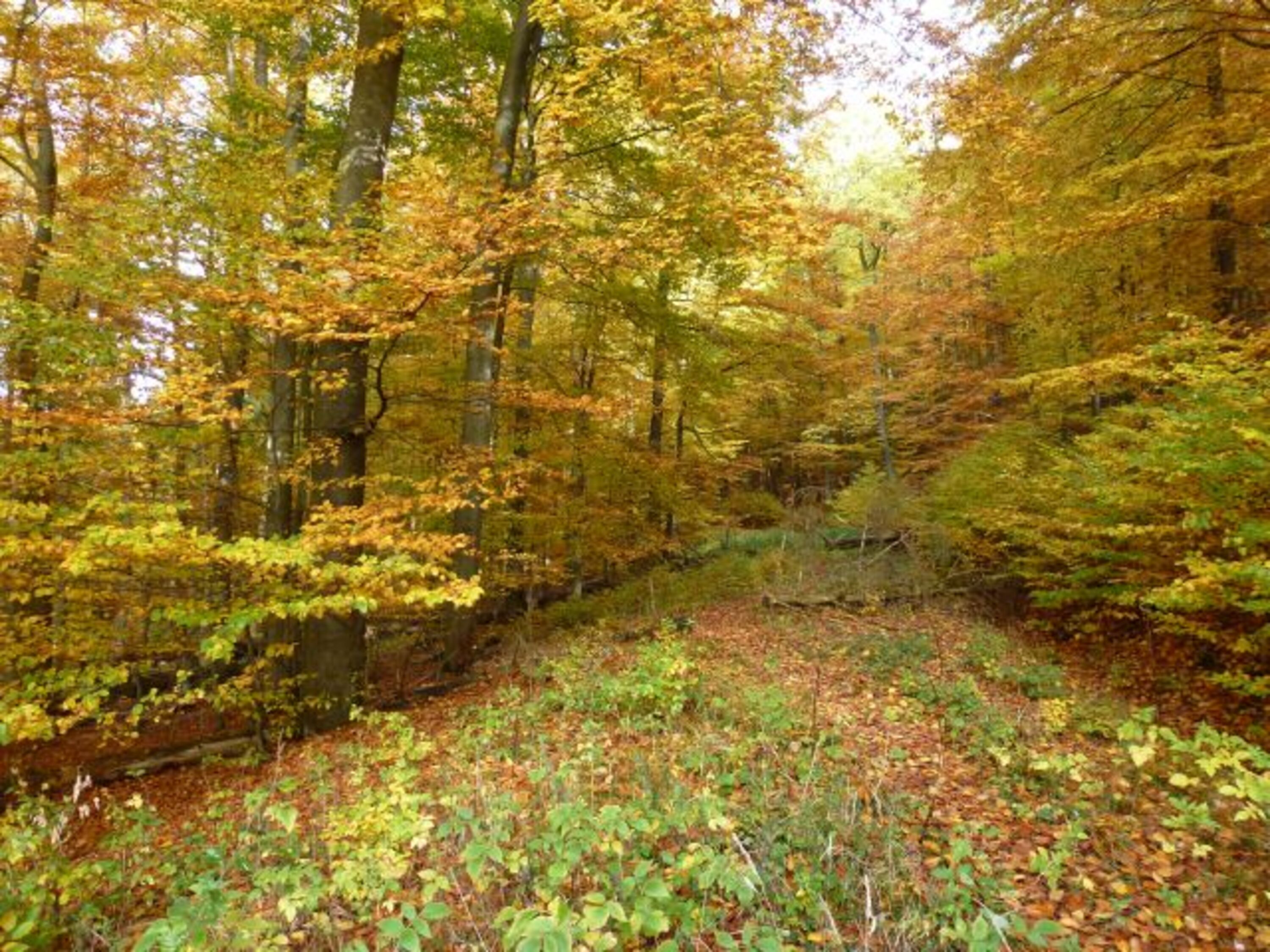 Der Nationalpark
