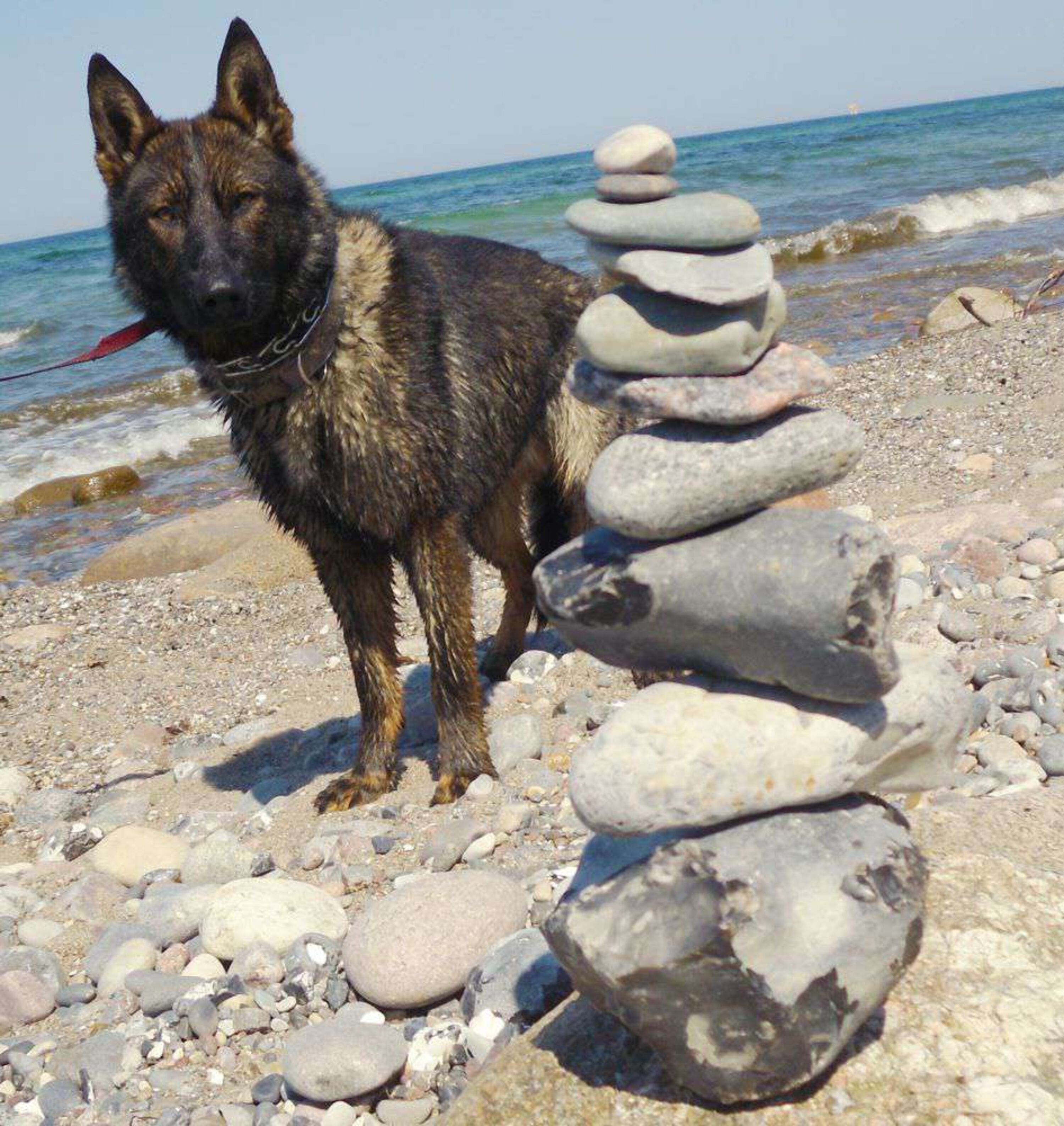 Hundestrand in Börgerende, auch FKK-Strand in der Nähe.