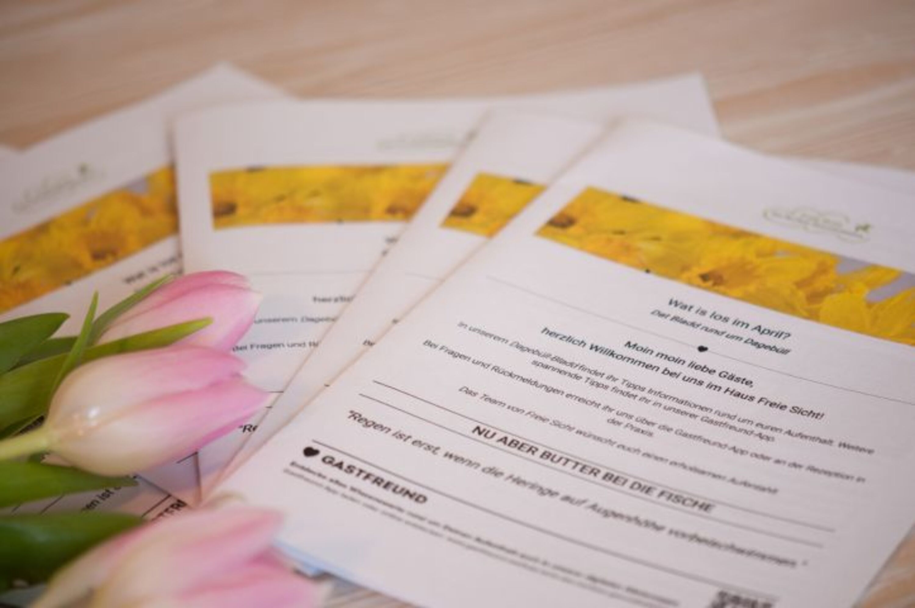 Ihre persönliche Gästezeitung!